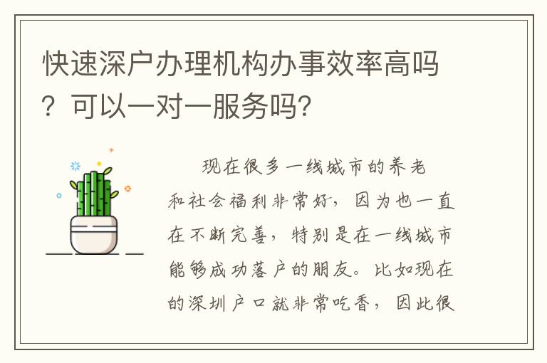 快速深戶辦理機(jī)構(gòu)辦事效率高嗎？可以一對(duì)一服務(wù)嗎？
