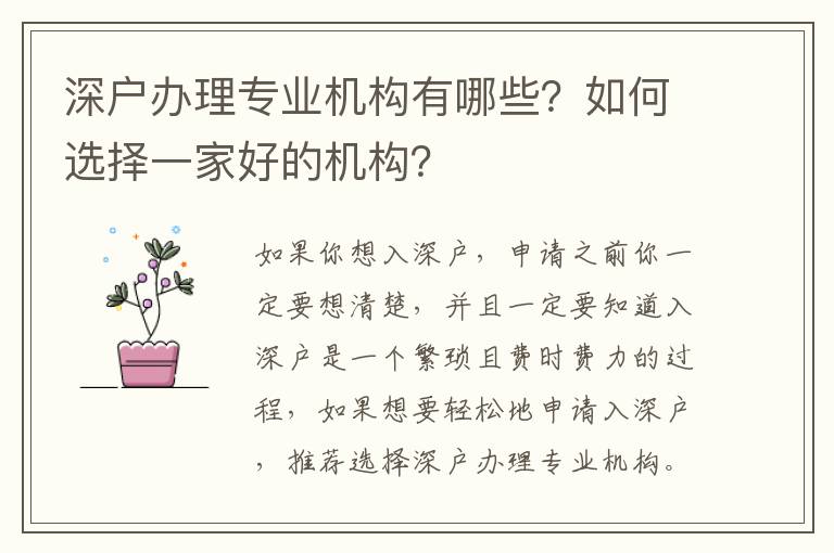 深戶辦理專業(yè)機(jī)構(gòu)有哪些？如何選擇一家好的機(jī)構(gòu)？