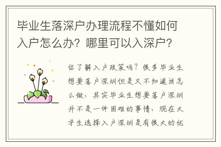 畢業(yè)生落深戶辦理流程不懂如何入戶怎么辦？哪里可以入深戶？